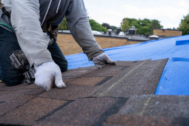 Best New Roof Installation  in Warrenvle, IL