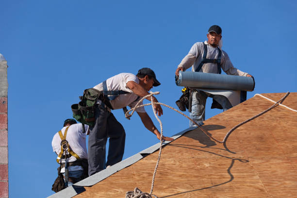 Best Roof Replacement Cost  in Warrenvle, IL
