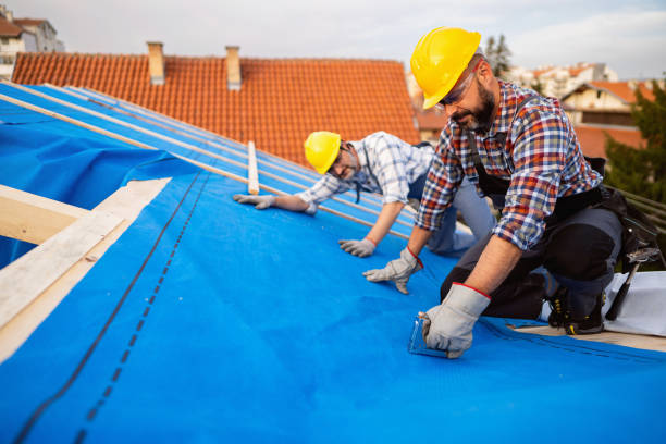 Best Roof Maintenance Services  in Warrenvle, IL