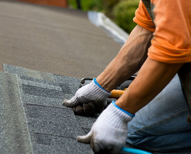 Best Roof Leak Repair  in Warrenvle, IL