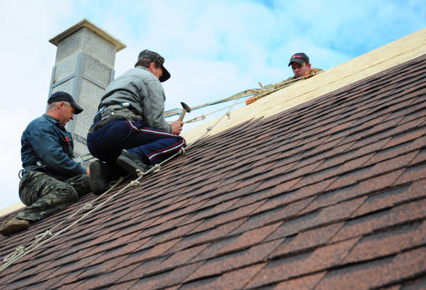 Best Affordable Roofing Company  in Warrenvle, IL