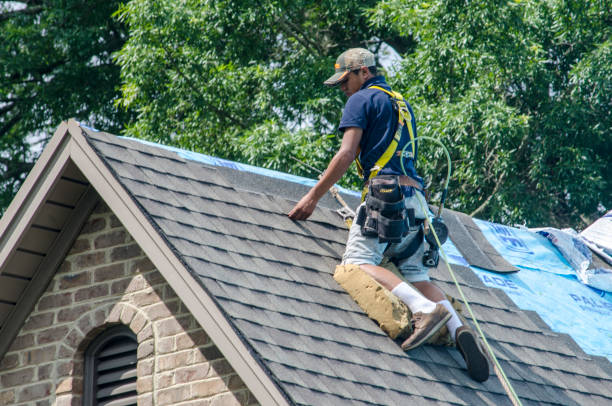 Best Commercial Roofing Services  in Warrenvle, IL